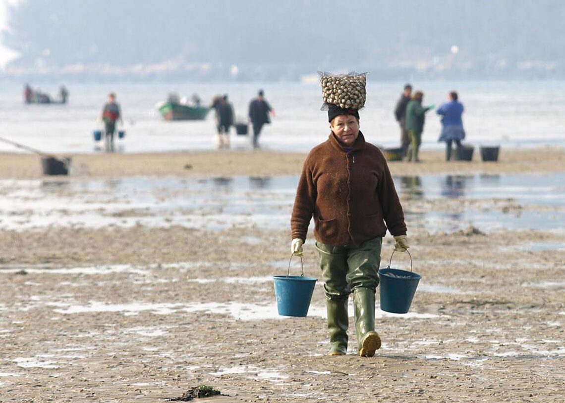 Sumar Galicia rexistra no Congreso unha reforma legal para mellorar os dereitos laborais do marisqueo e a canteiría